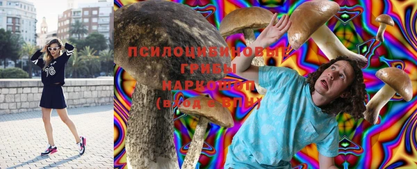 гидра Новочеркасск