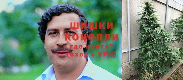гидра Новочеркасск