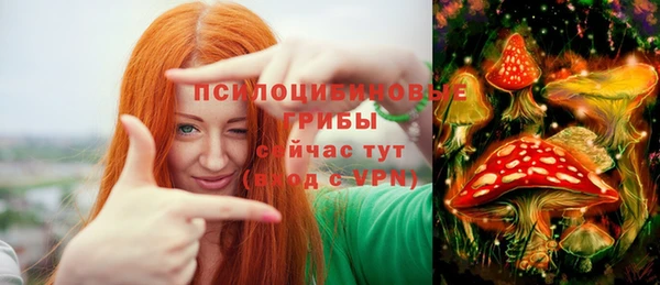 тгк Волгодонск