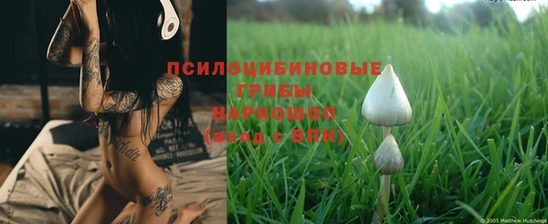 гидра Новочеркасск
