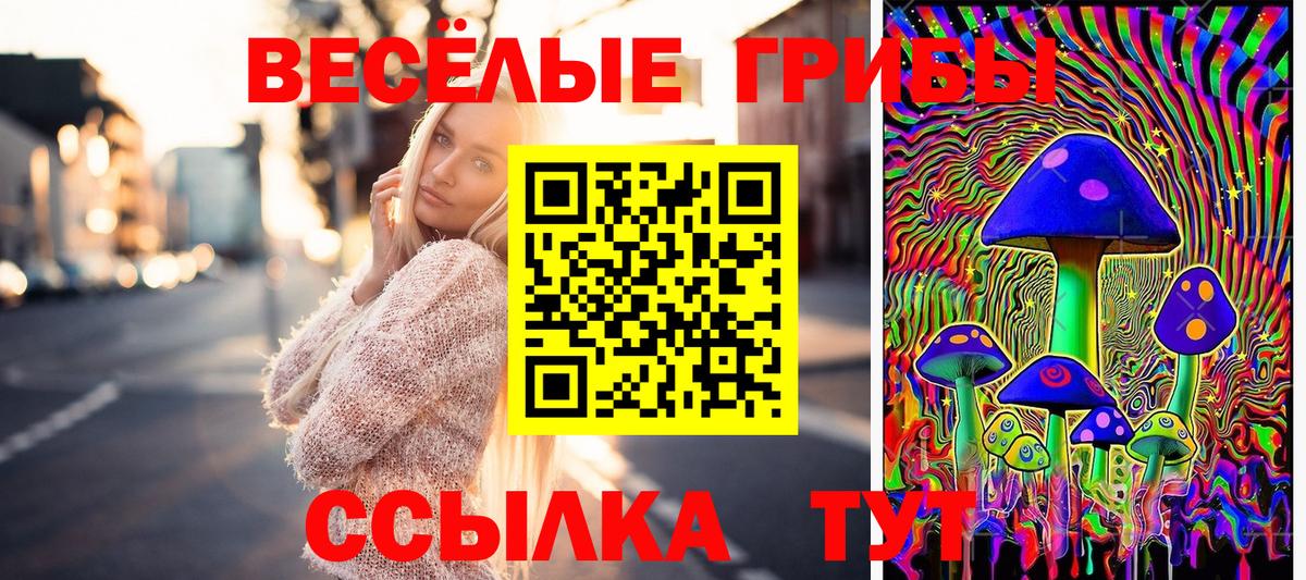 Сочи  Галлюциногенные грибы MAGIC MUSHROOMS  Вход с VPN 