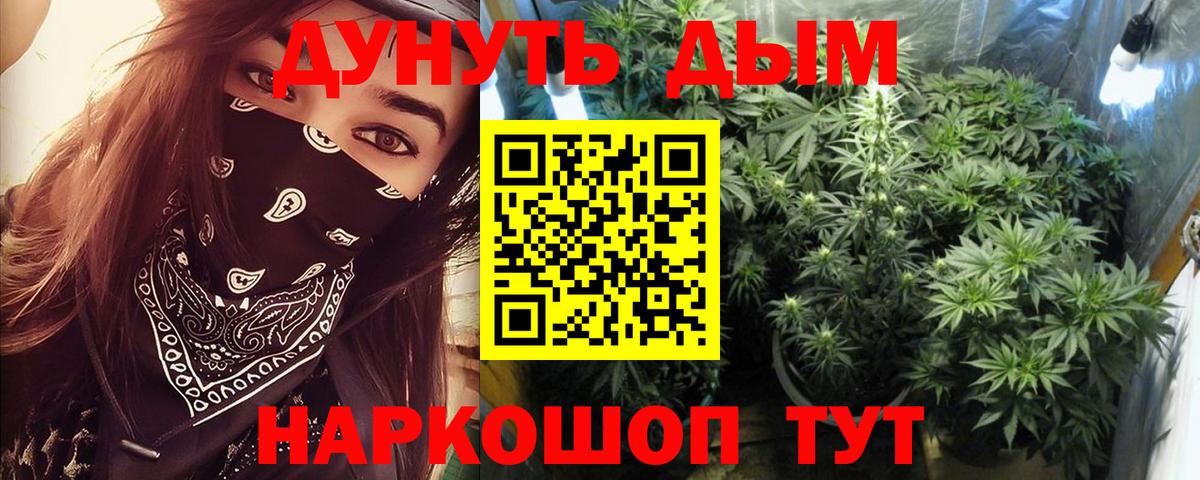 Бошки Шишки семена  Вход с VPN  Канабис индика  Сочи 